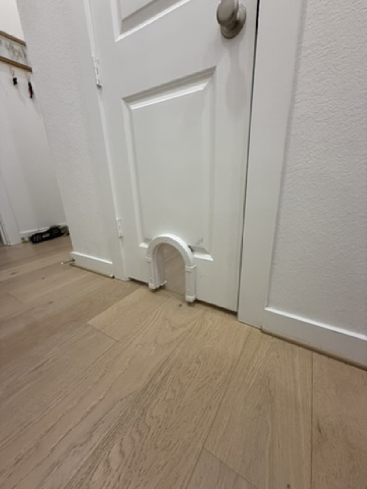 Cat door cleanly cut into a white interior door